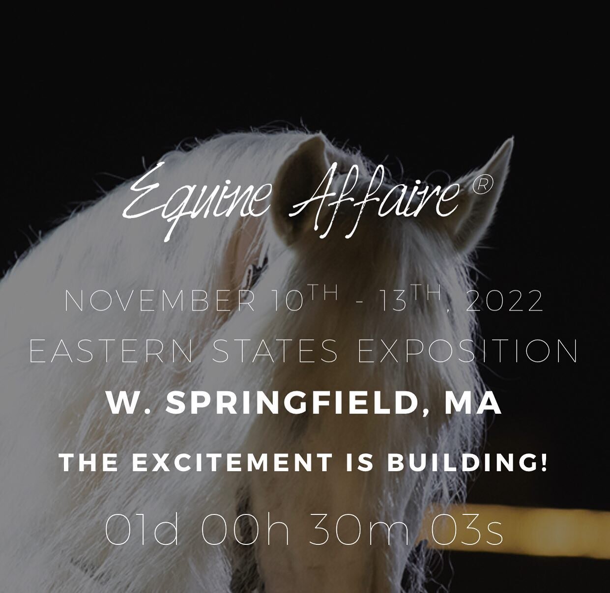 All set up and ready to dress your pups in cozy winter fleeces!!!
#equineaffaire #dogs#horses#dogcoats#massachusetts #dogfashion