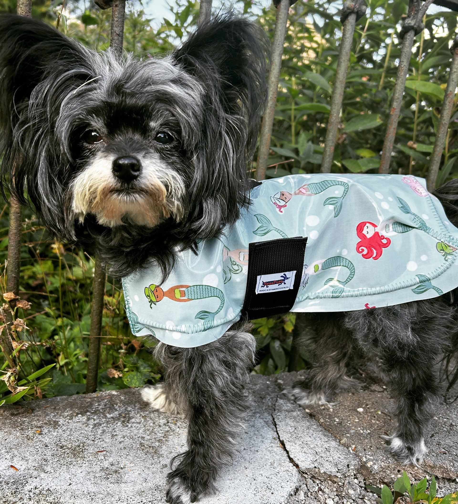 Mermaids Raincoat