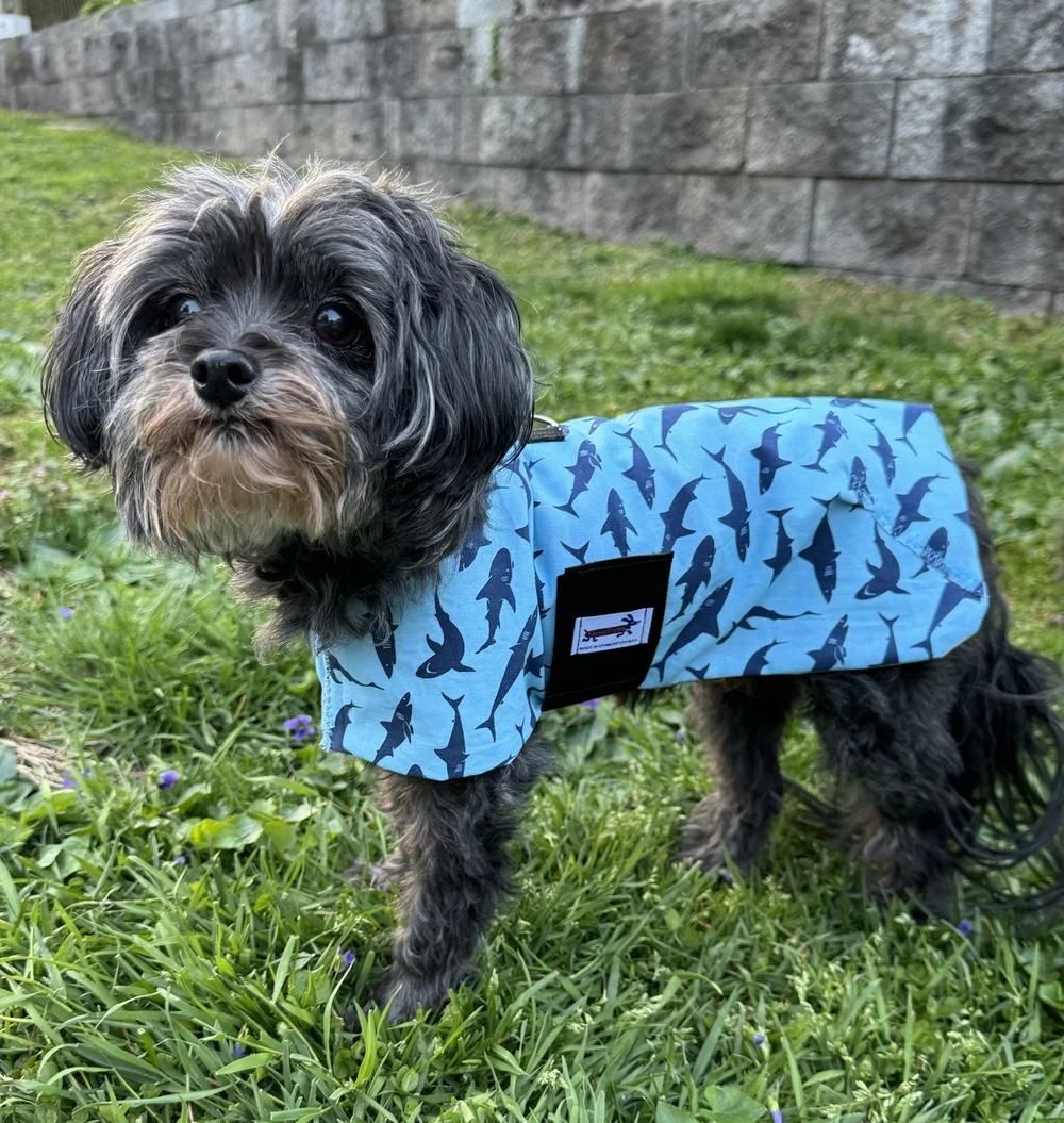 Sharks Cotton Coat — Snugpups Handmade Dog Coats