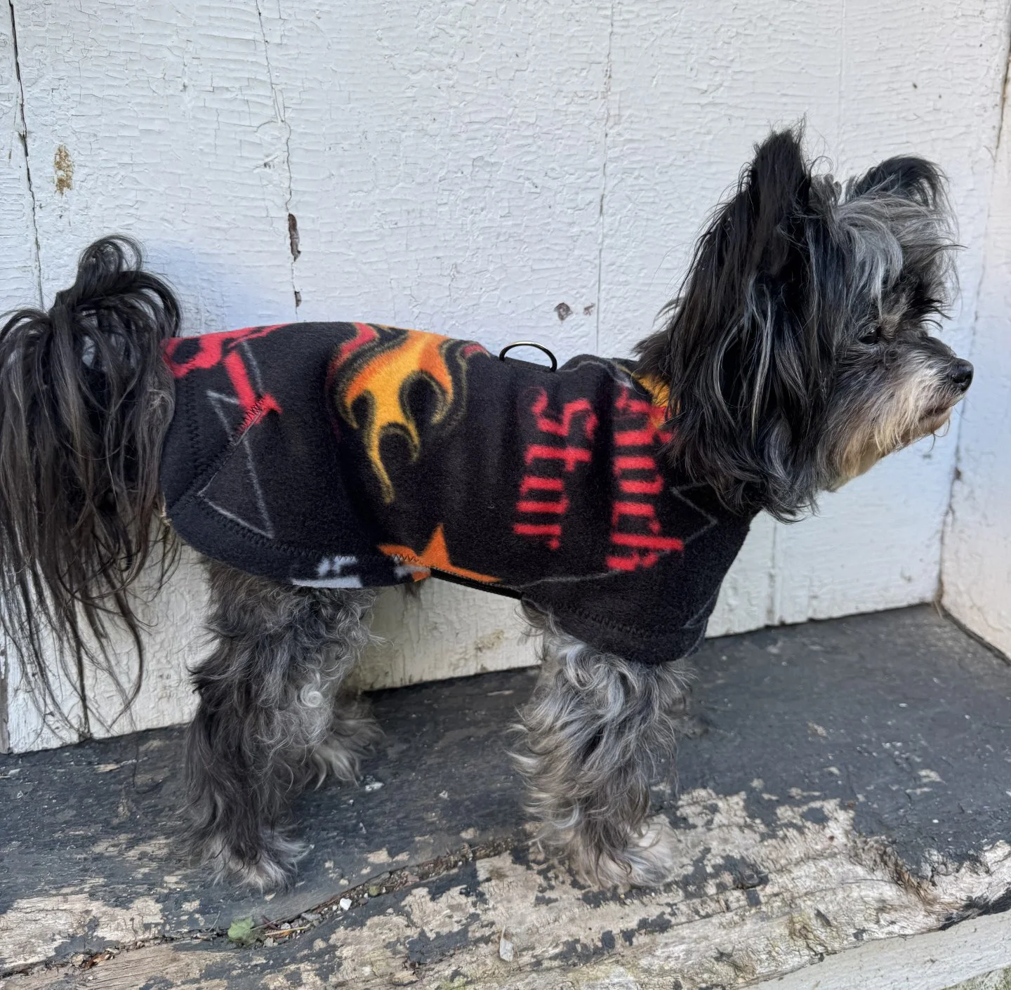 Dolly Rock n Roll Fleece 2.jpg