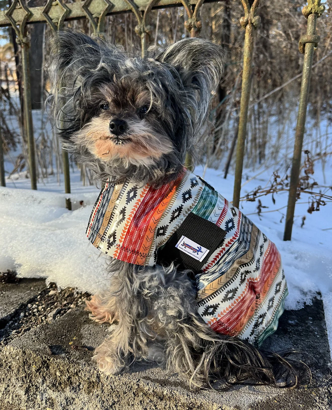 Goji Southwest Raincoat.jpg