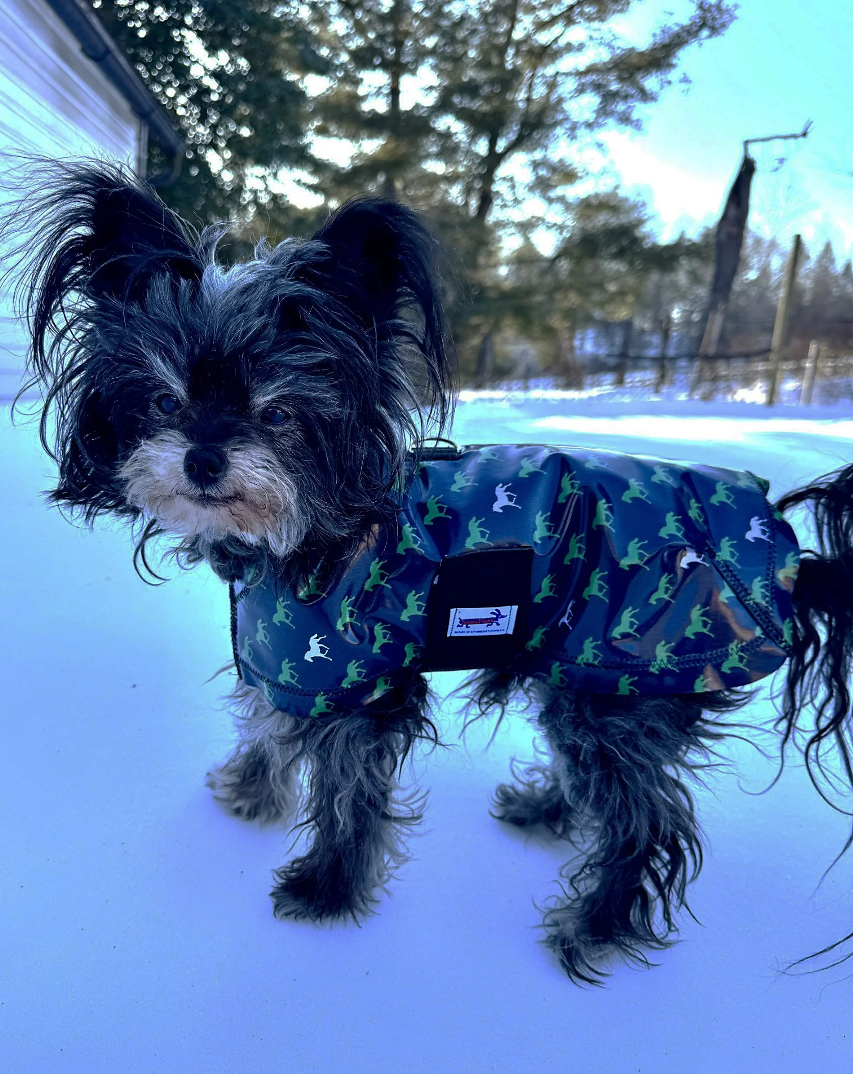 Dolly Horsey Raincoat.jpg