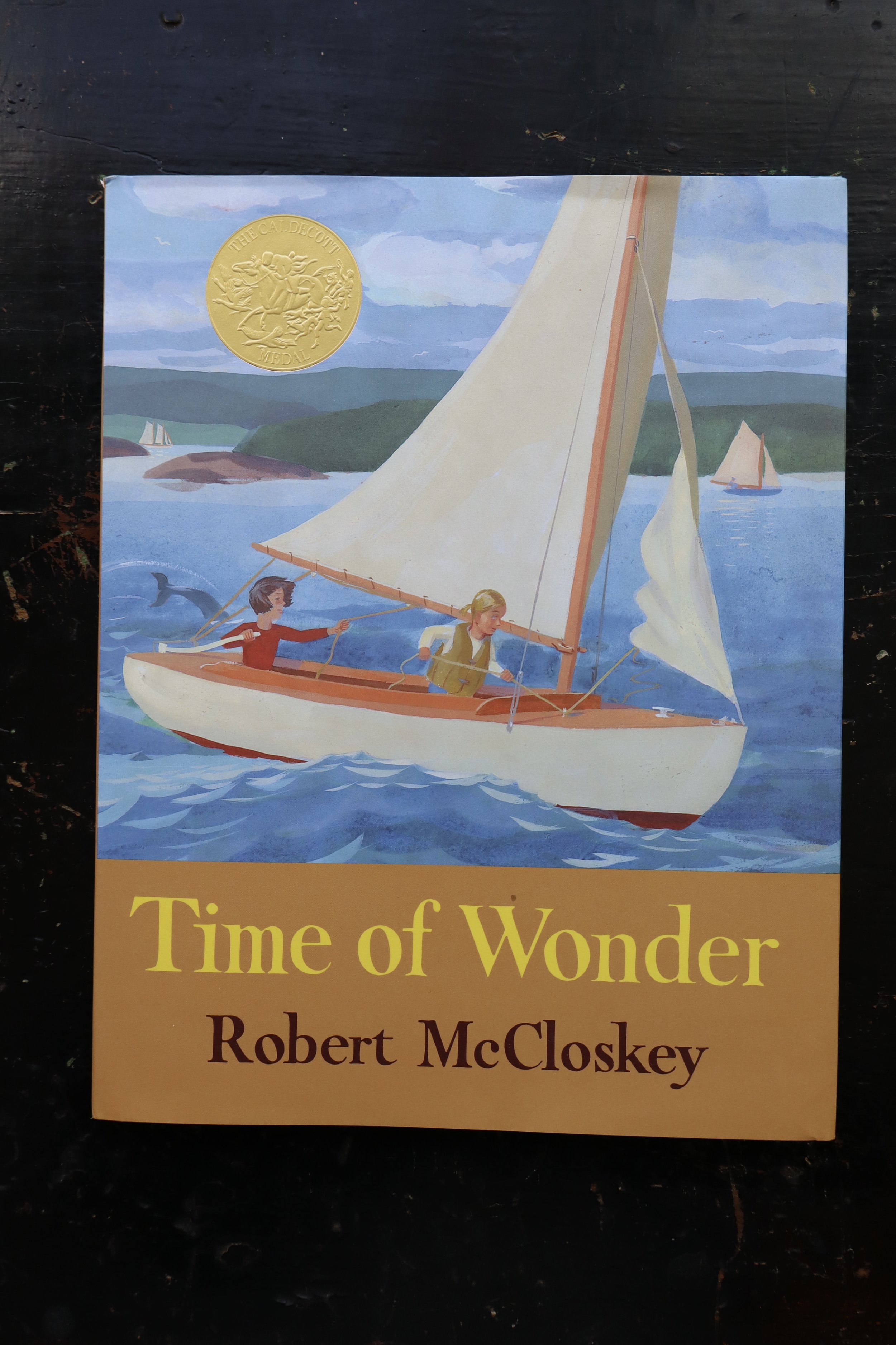Time of Wonder by Robert McCloskey