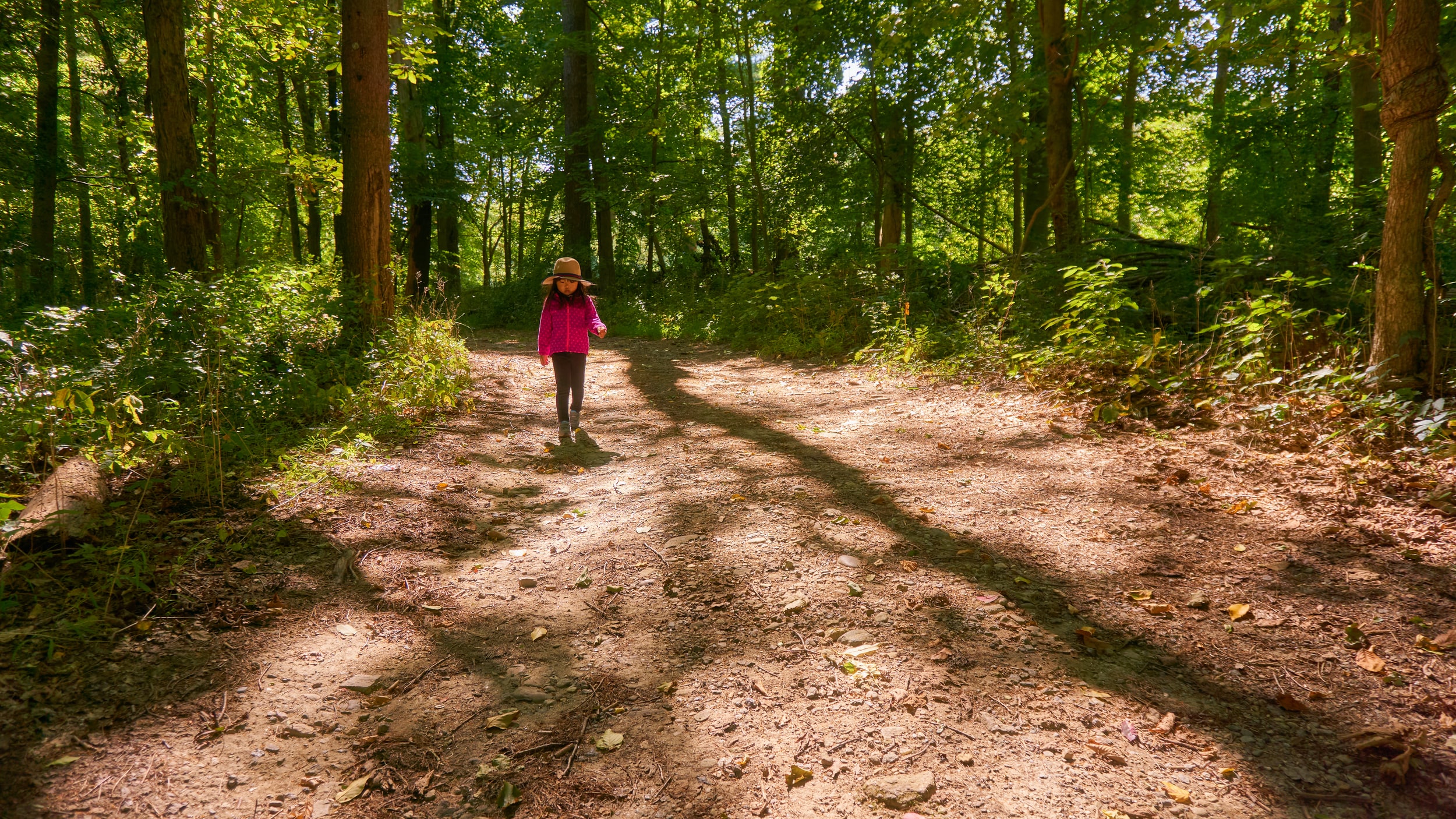 Strawberry Point Trail
