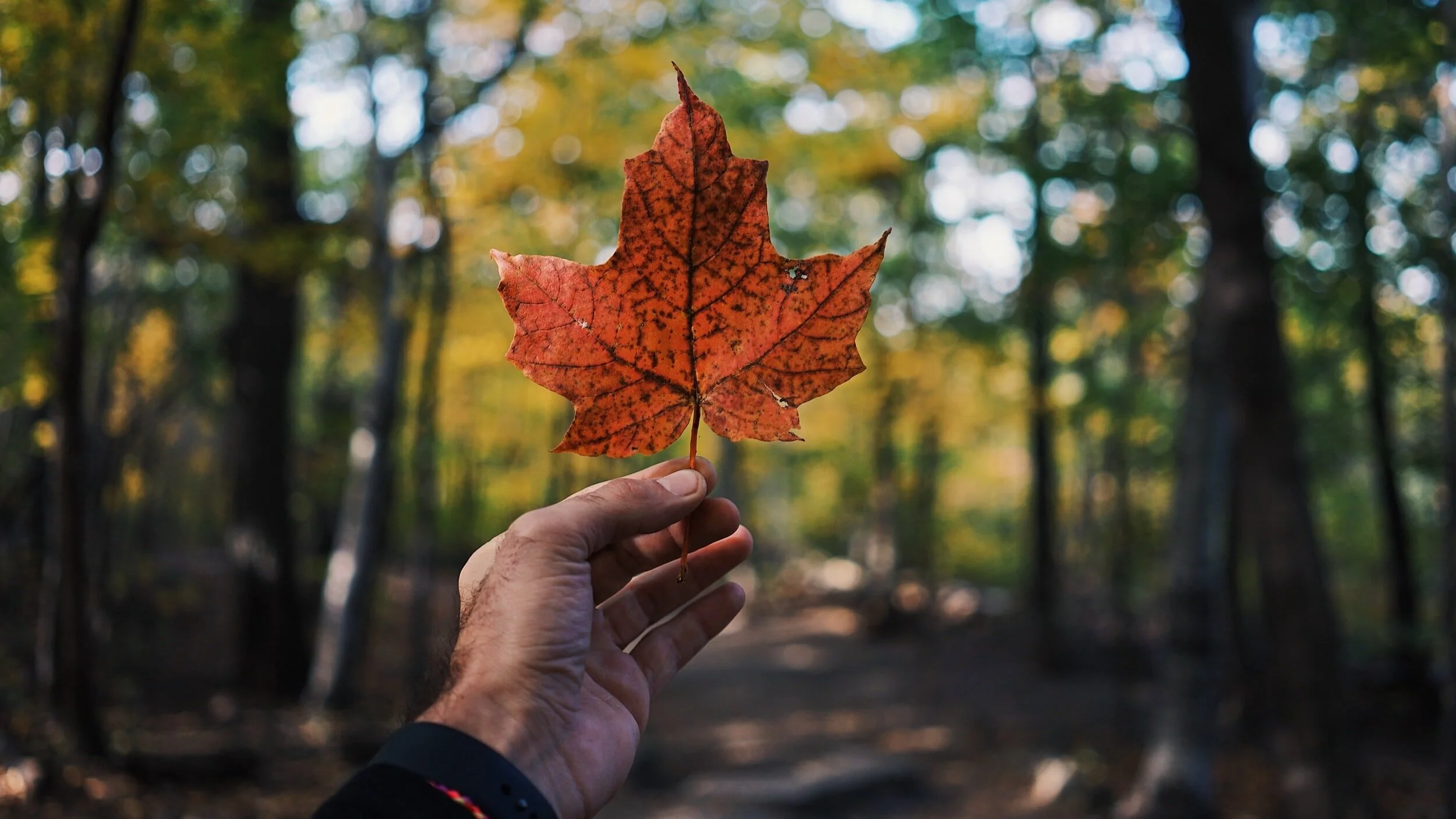 Service Canada, Bracebridge Centre