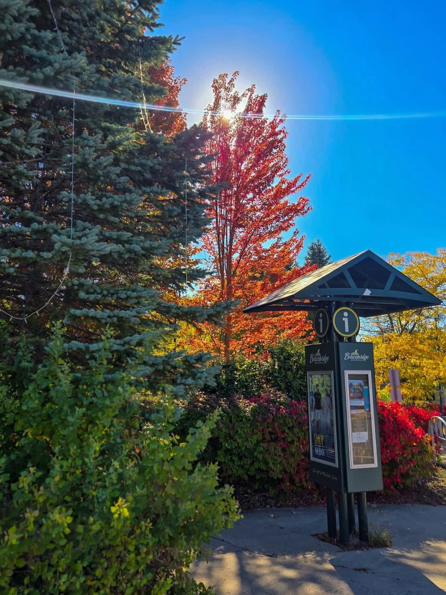 Downtown Bracebridge is glowing with colour 🍁☀️
📸 @kalahouseofcolour 
#downtownbracebridge #visitthebridge #shopthebridge #discovermuskoka