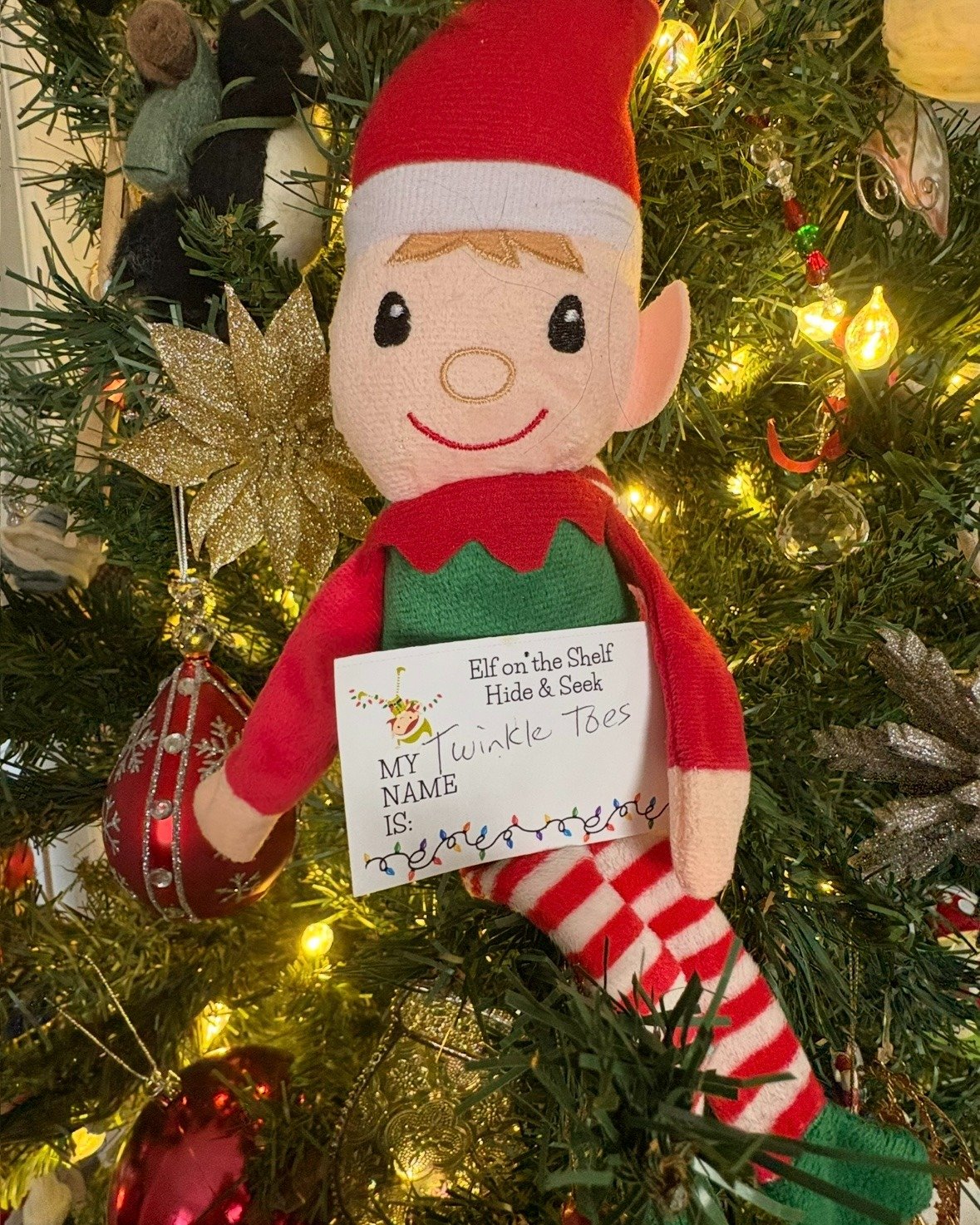 Santa&rsquo;s elves are hiding all over Downtown Bracebridge! 🎄🔍
Find them, fill out your scavenger hunt sheet, and you could win 1 of 3 $50 Shop the Bridge gift cards!🎁

Play along until December 6th! Scavenger hunt sheets are available through t