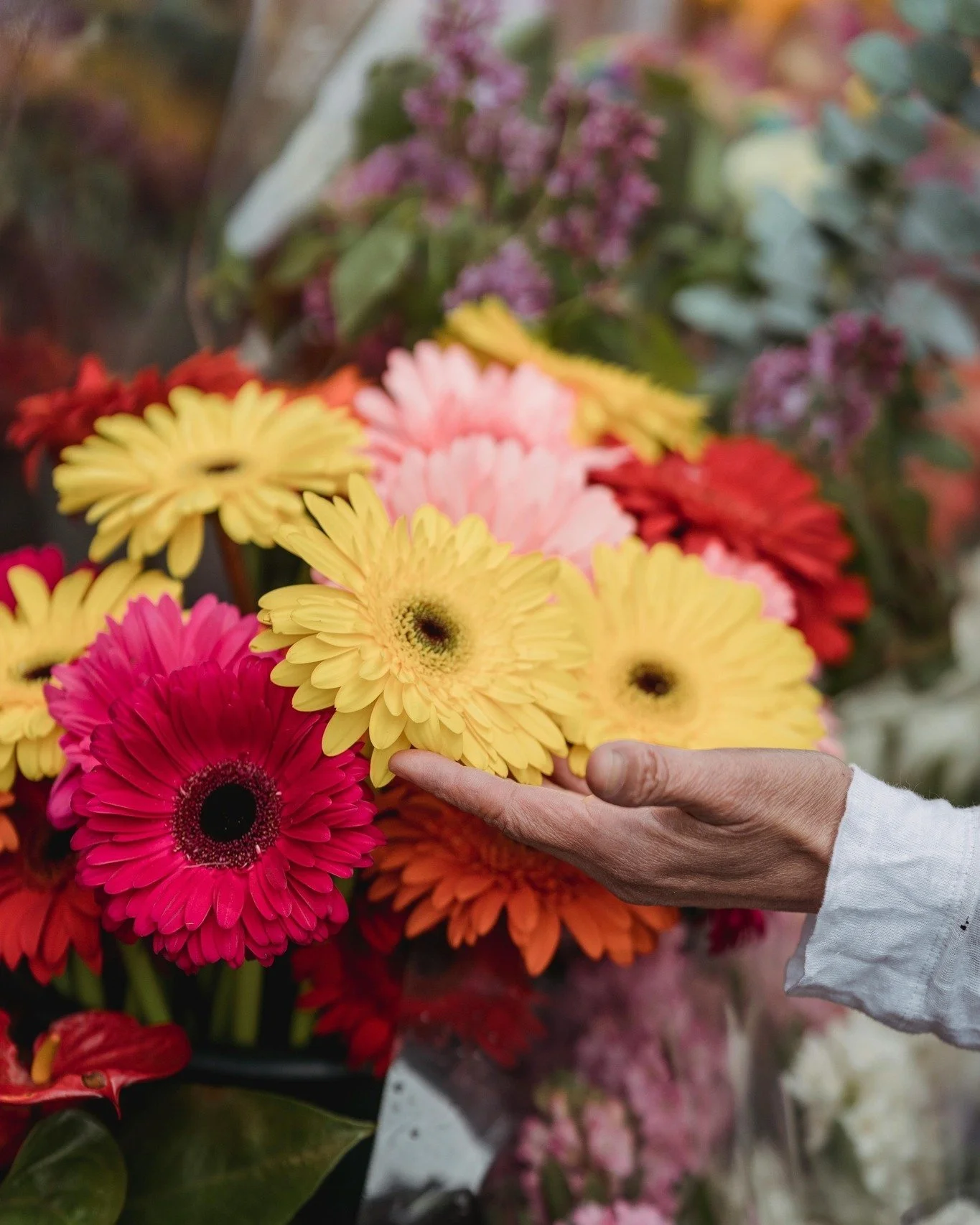 Sending warm Mother&rsquo;s Day wishes from Downtown Bracebridge to all the amazing moms and mother figures in our community! 💐

#MothersDay #DowntownBracebridge