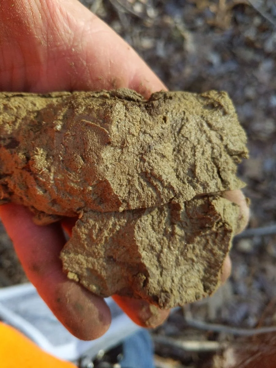 Close-up of a hand holding a large, rough piece of brown clay or dirt with a textured surface, outdoors with soil visible in the background.