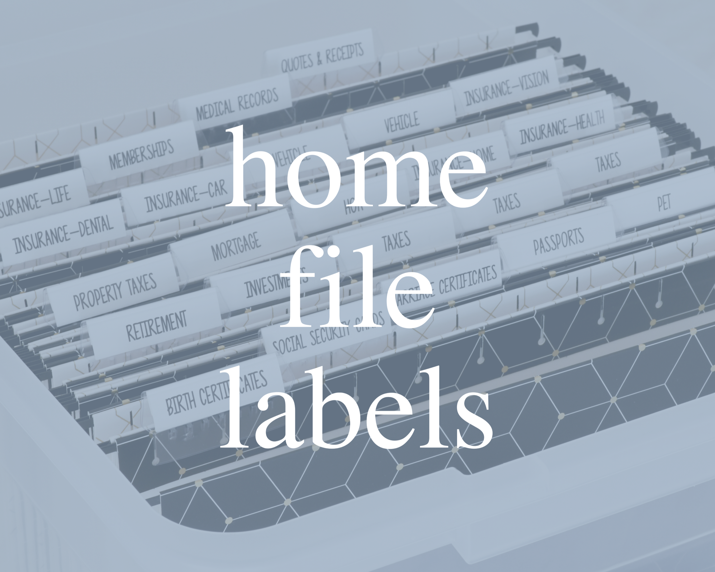 Home file folder labels for organizing important household documents like insurance, medical records, and certificates