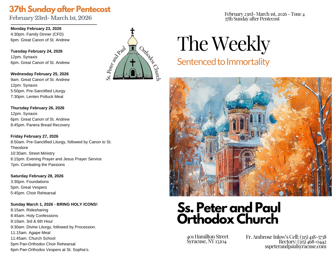 The Weekly 02-22-2026