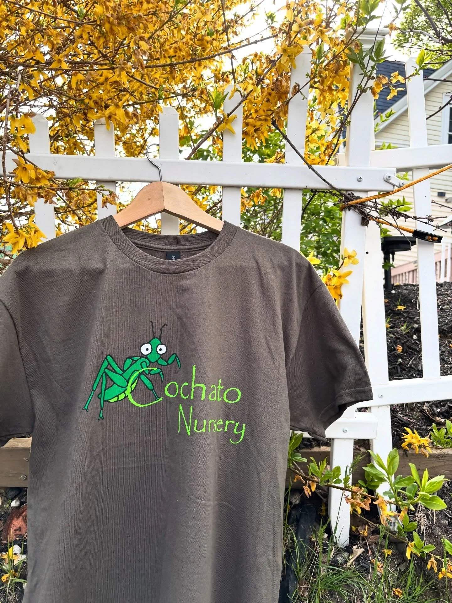 Some charming tees for the Cochato Plant Nursery 🌱🌞
&bull;
Did you know praying mantises can see in 3D?! They have &ldquo;stereo vision&rdquo;, also known as binocular vision, which gives them the ability to perceive depth and three-dimensional spa