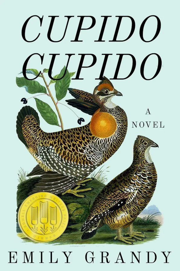Cupido Cupido novel cover art