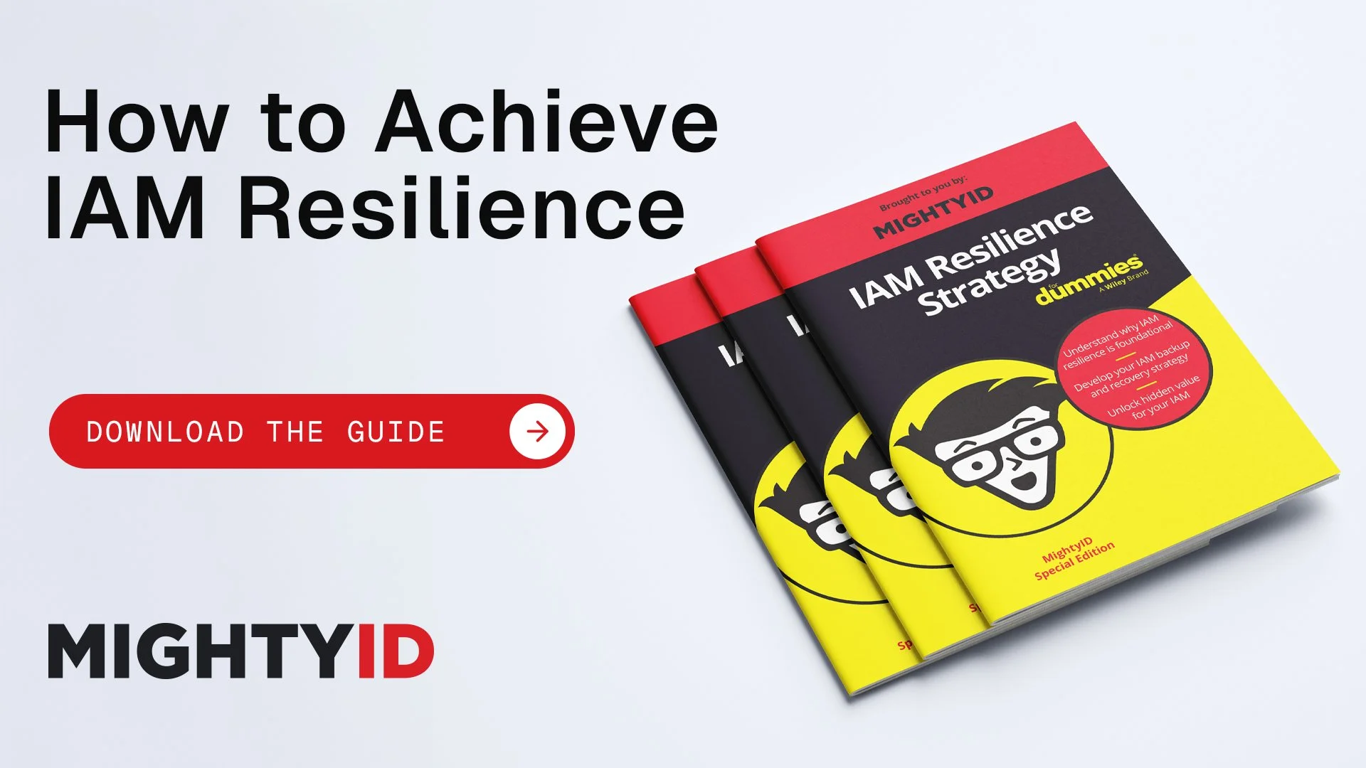 MightyID For Dummies LinkedIn Ad 4.jpg