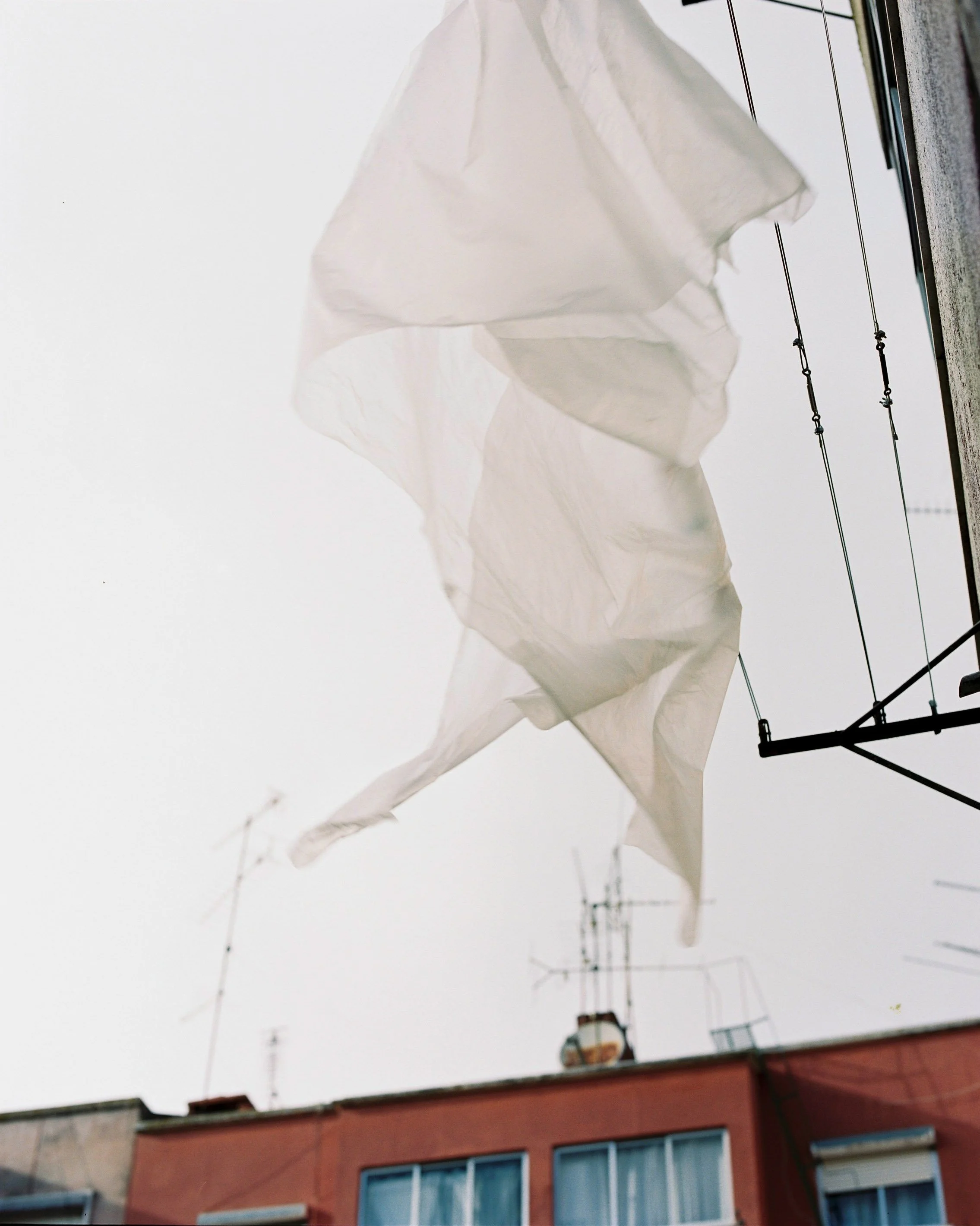 C_037.jpg