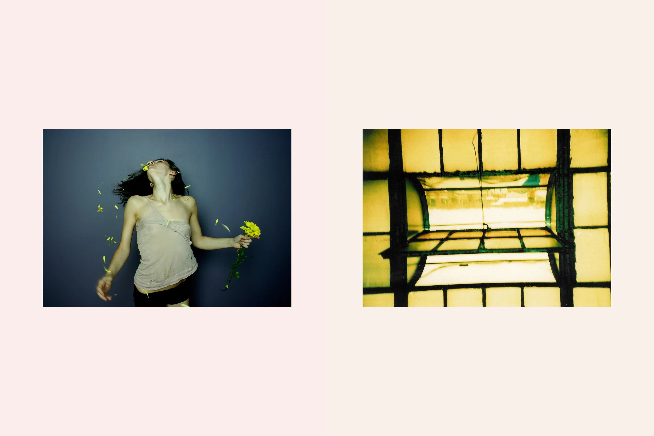 The beginning small_08.jpg