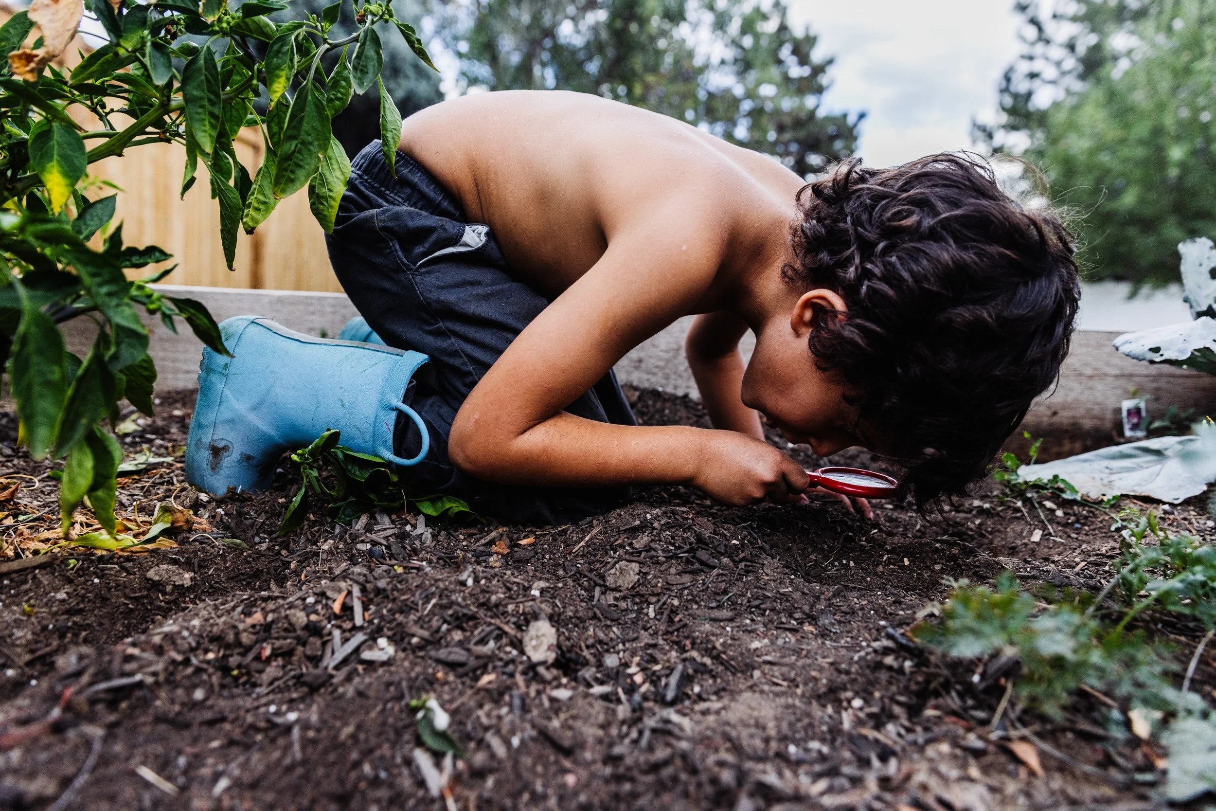chicago-childrens-photographer-stephanie-bassos-denver-photographer-20.jpg
