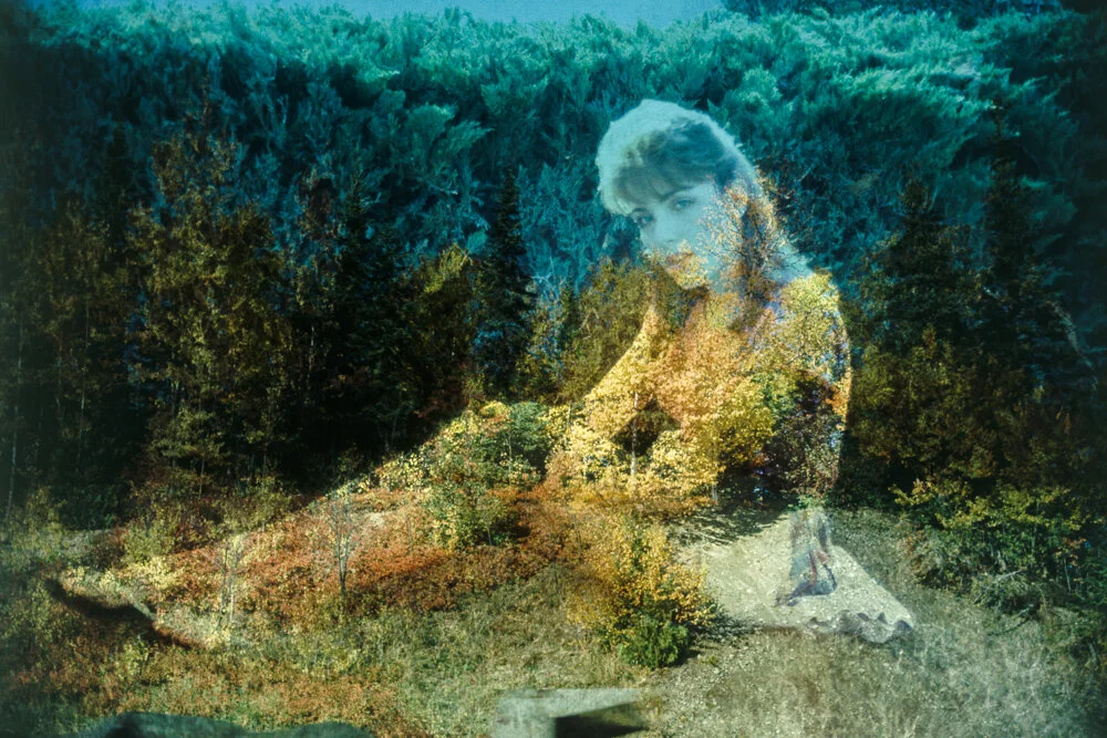SCAN_1_1_Dusted.jpg