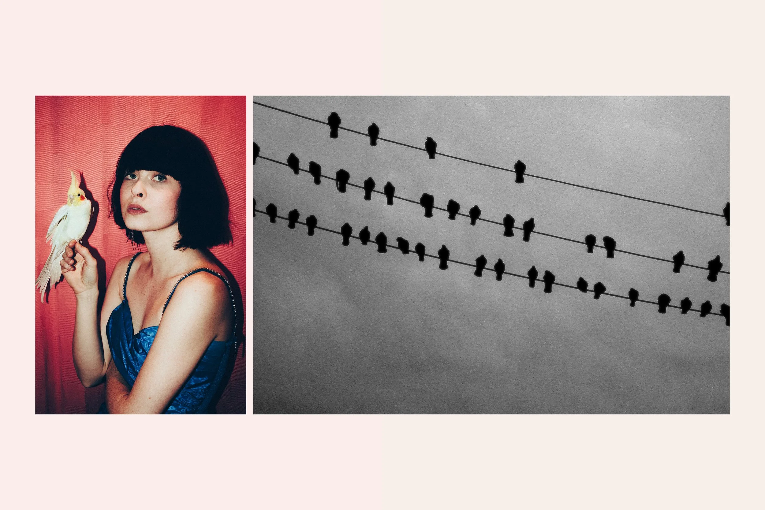 The beginning small_05.jpg