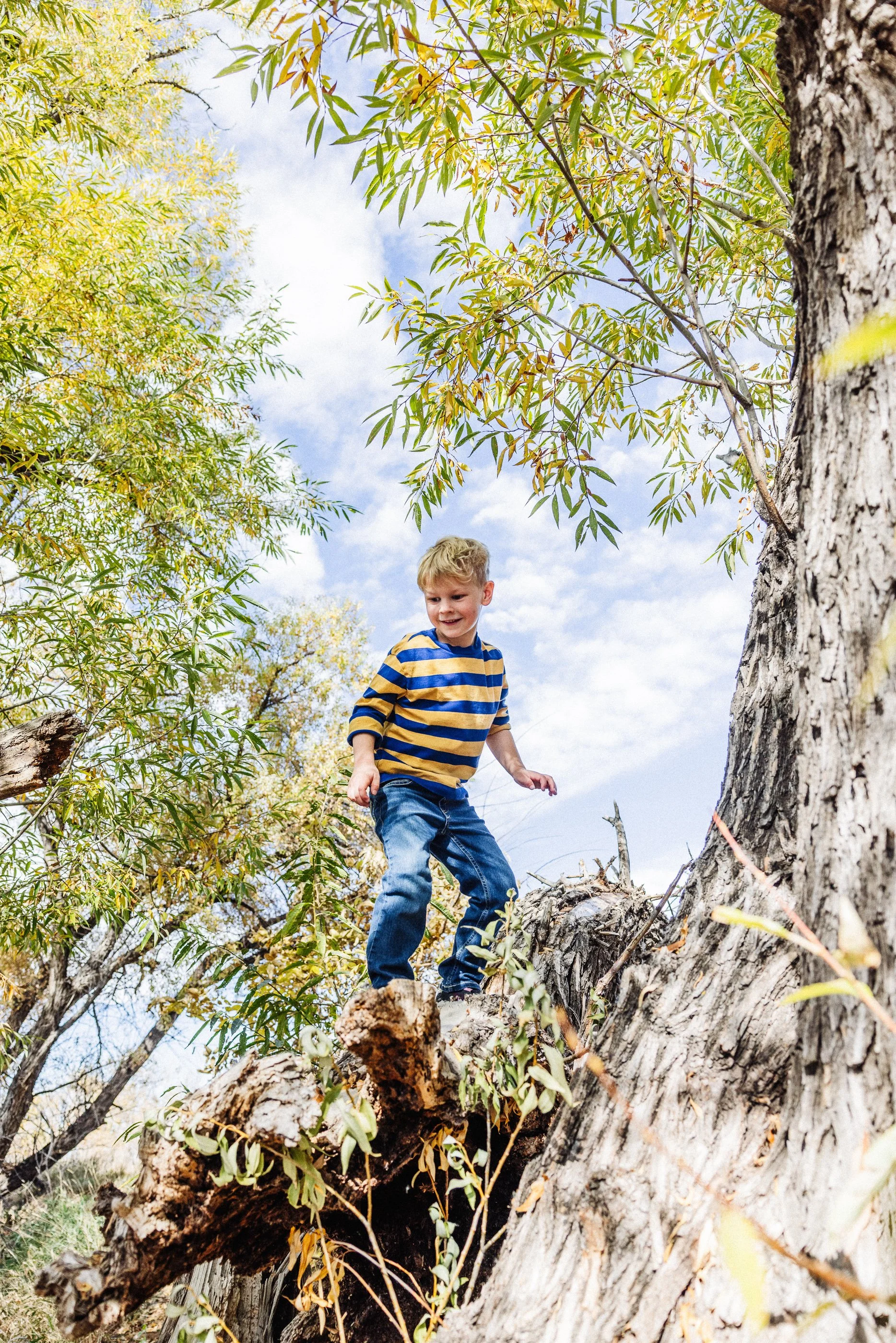 A young boy with blonde hair wearing a black and yellow striped long-sleeve shirt and blue jeans climbing on a large fallen tree trunk outdoors surrounded by green trees and a cloudy sky.
