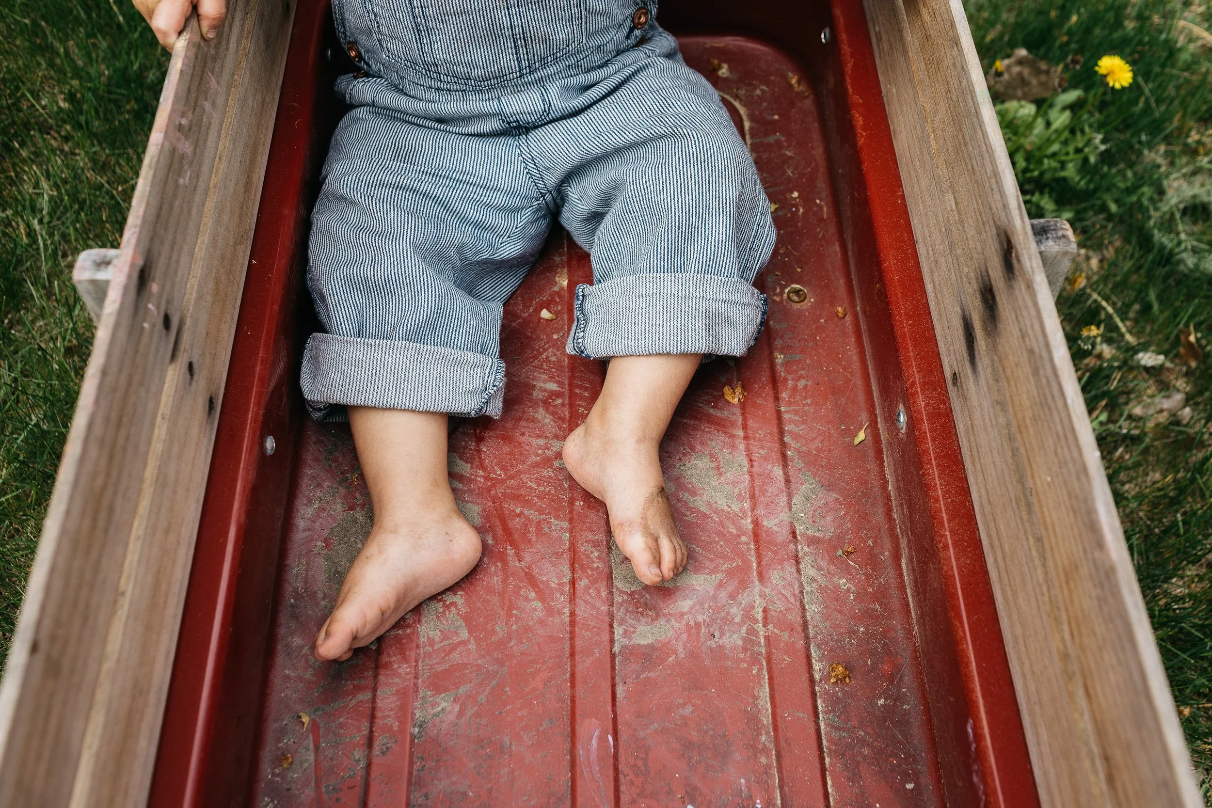 chicago-childrens-photographer-stephanie-bassos-denver-photographer-64.jpg