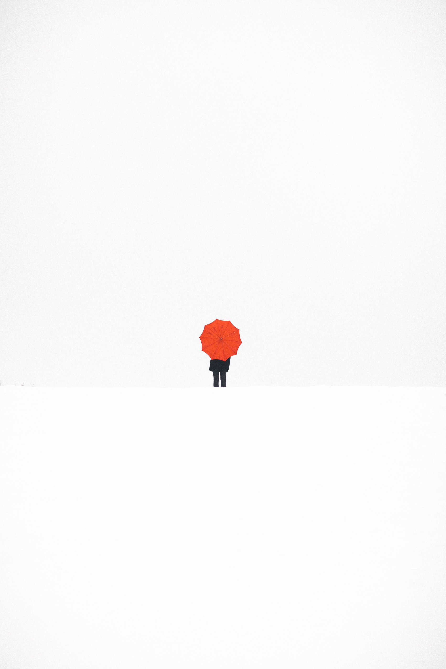 4L8A0102.jpg