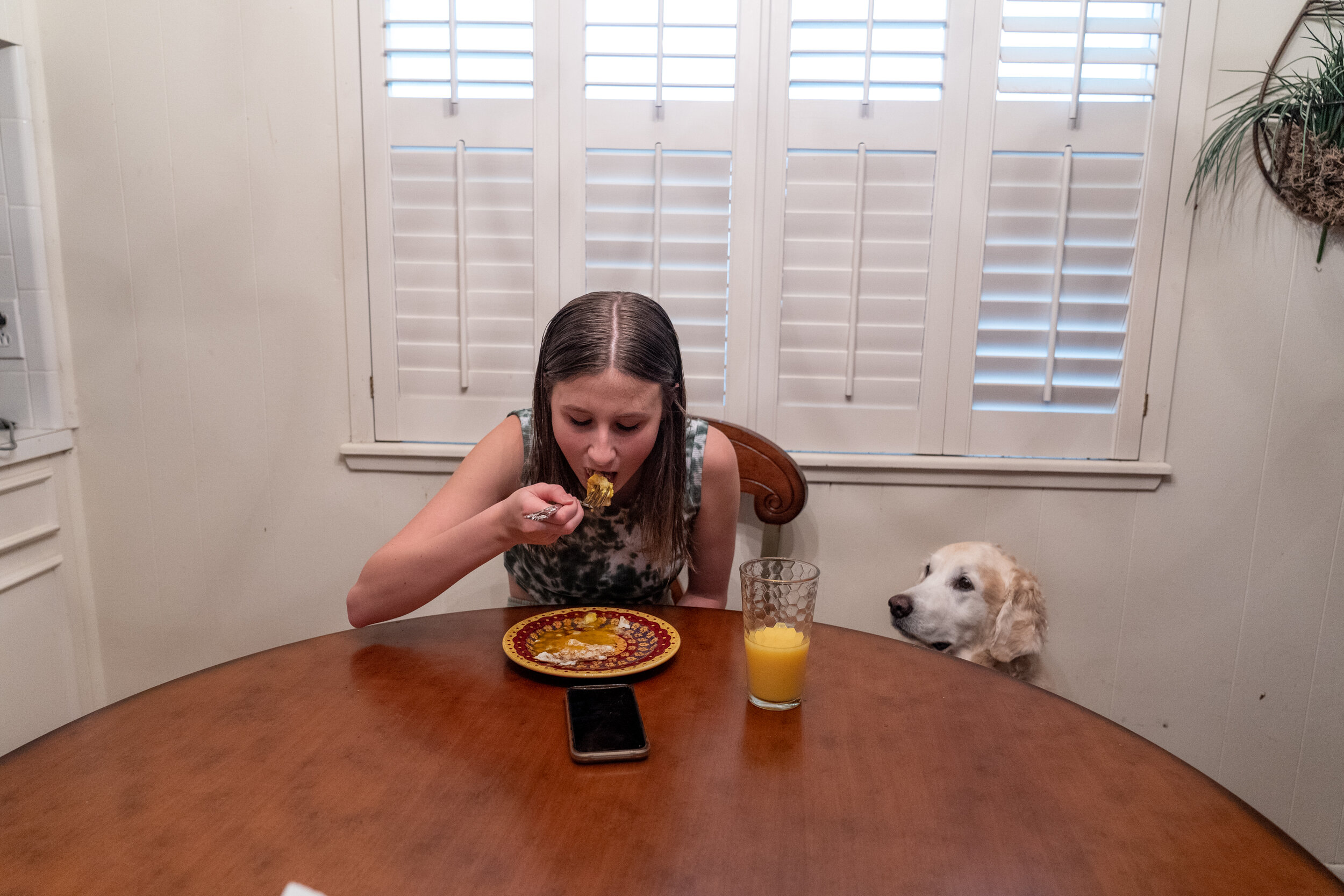  CORPUS CHRISTI, TEXAS - September 9, 2020: Ella Cole, 17, eats breakfast while one of her two Golden Retrievers, Duke, asks for a bite. 