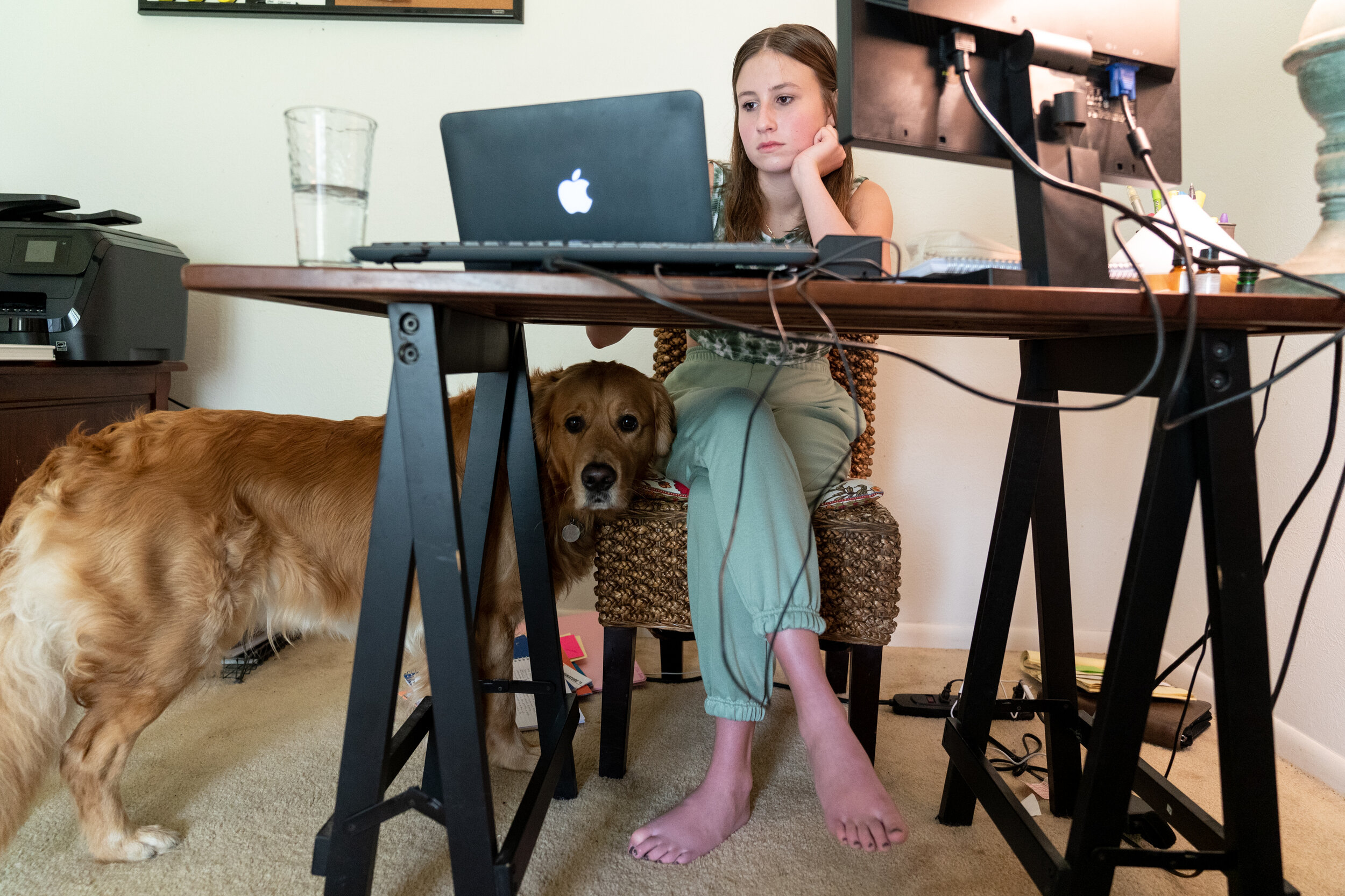  CORPUS CHRISTI, TEXAS - September 9, 2020: Ella Cole, 17, logs into her AP Calculus class online as Moby keeps her company. 