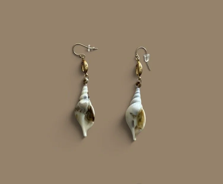 Auger Shell Earrings