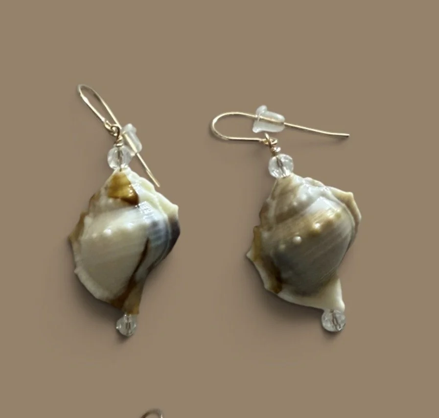 Conch Shell Earrings