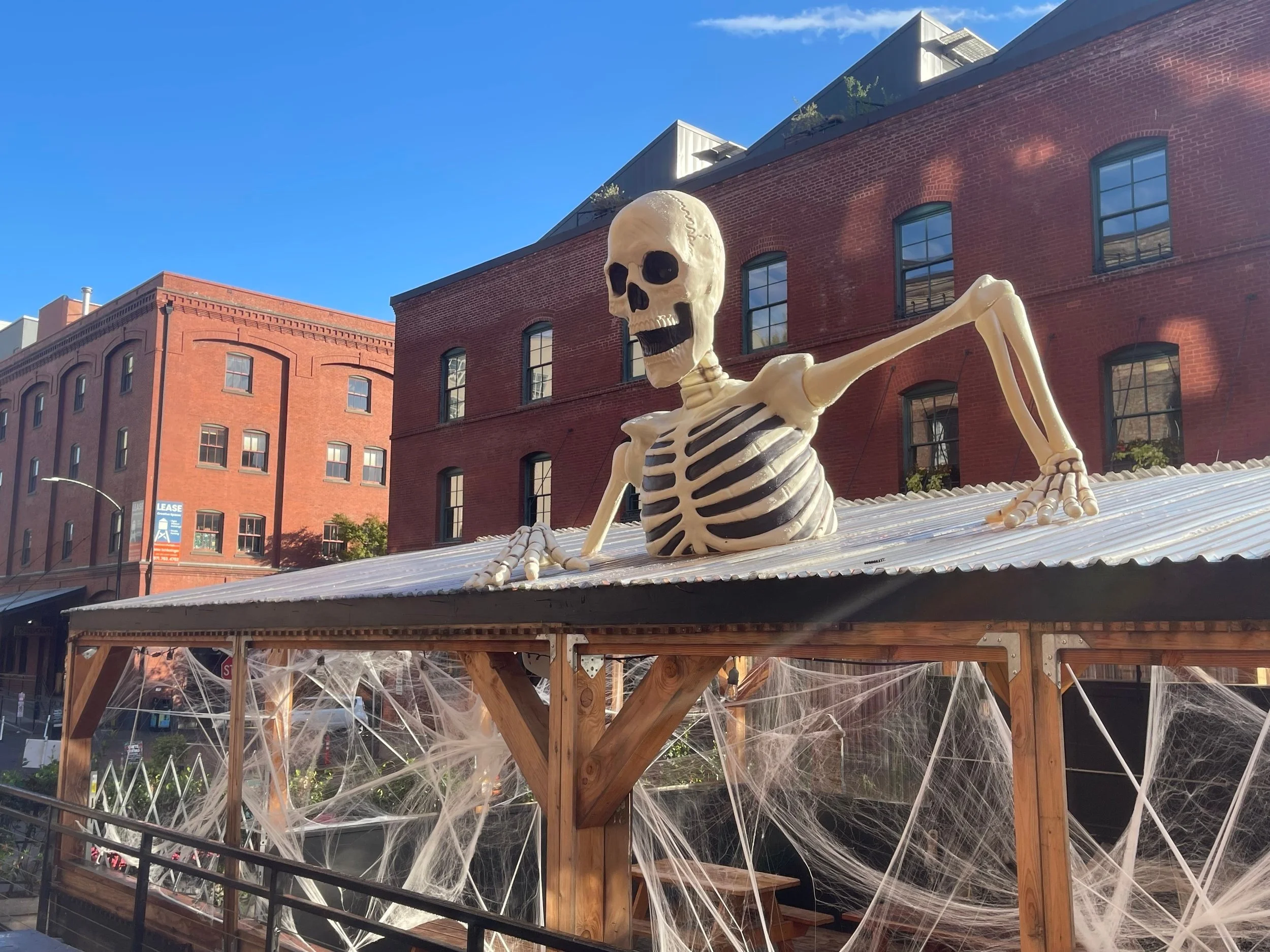 River Pig Ramzy Hattar History Pearl District Portfolio