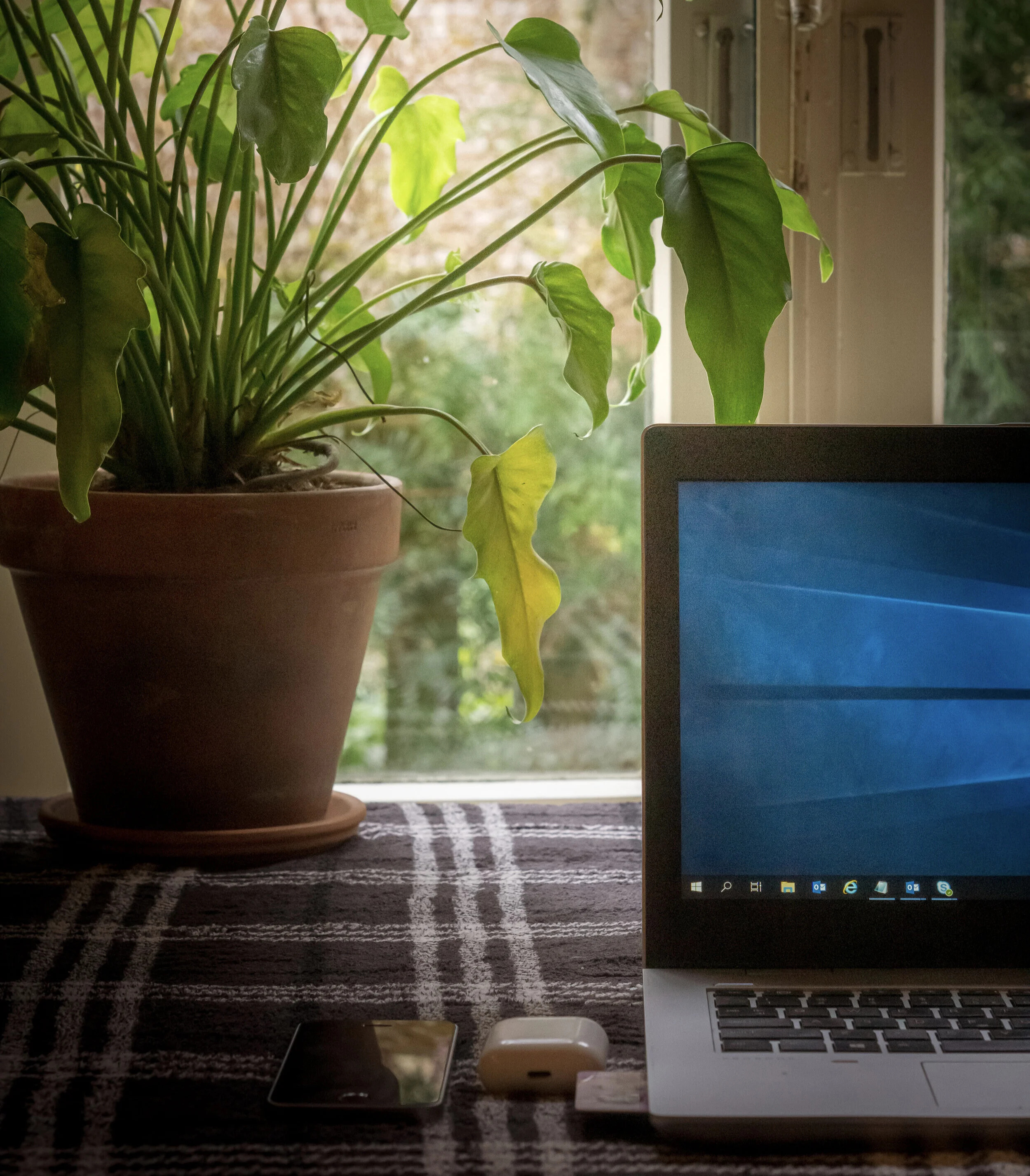  Potted plant rests next to a computer and open window representing the comfort of accessing online therapy in Florida from the comfort of your surroundings. Learn more about working with an online therapist from The Heard Counseling who offers online therapy in Miami.  