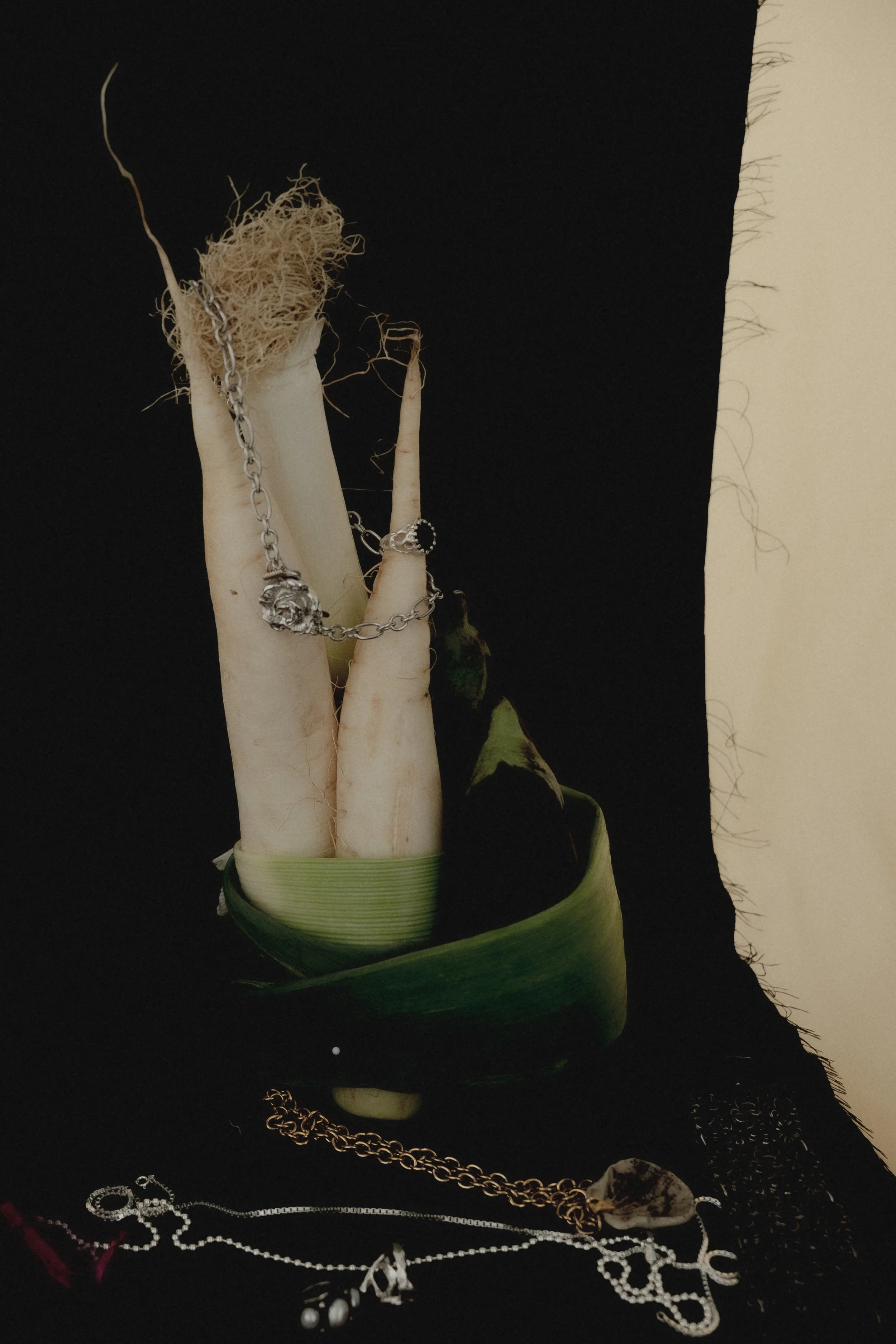 DSC08207.jpg