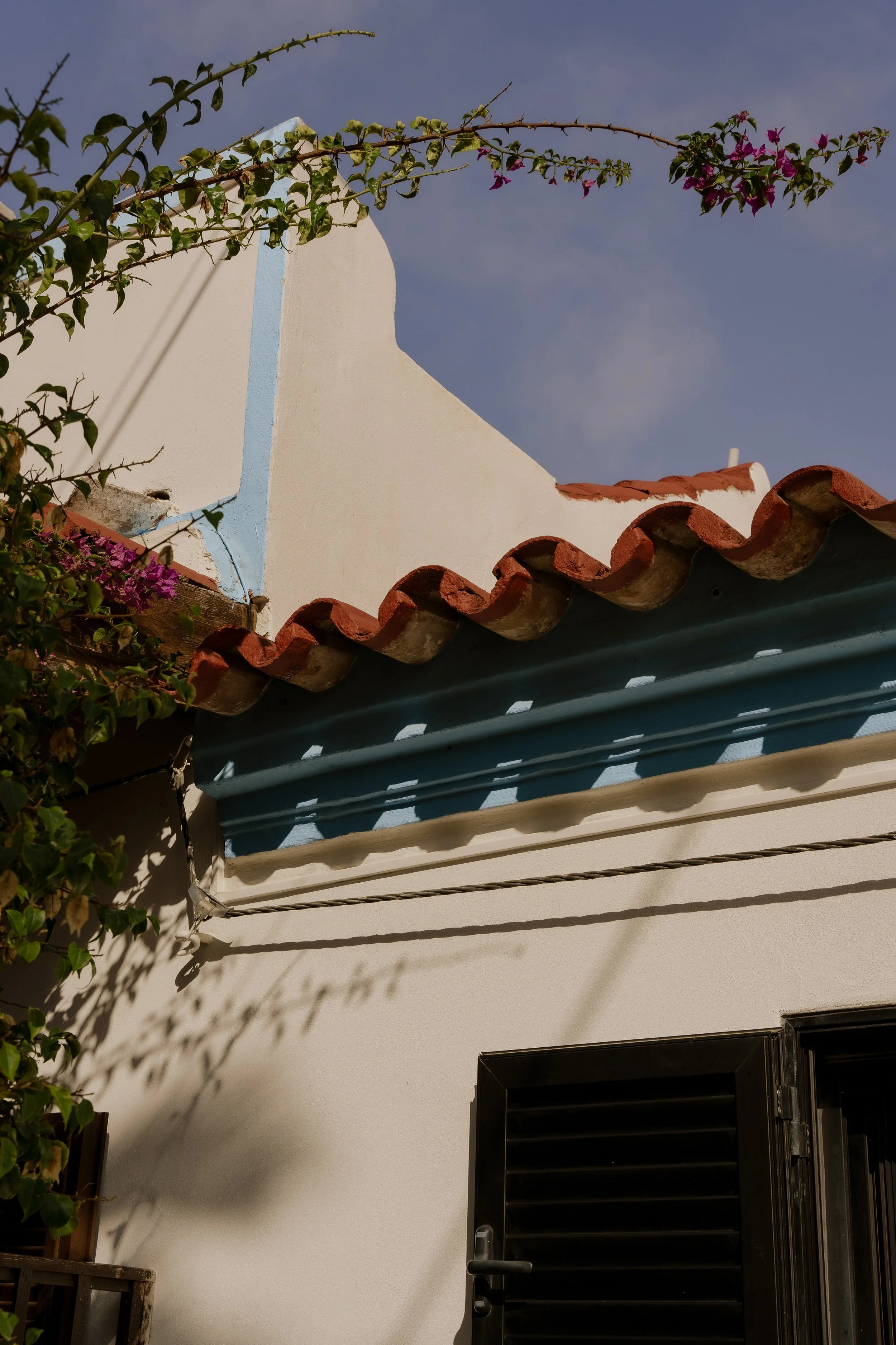 Exterior of a stucco wall with terracotta roof tiles, a blue decorative trim, and flowering bougainvillea vines under a clear sky.