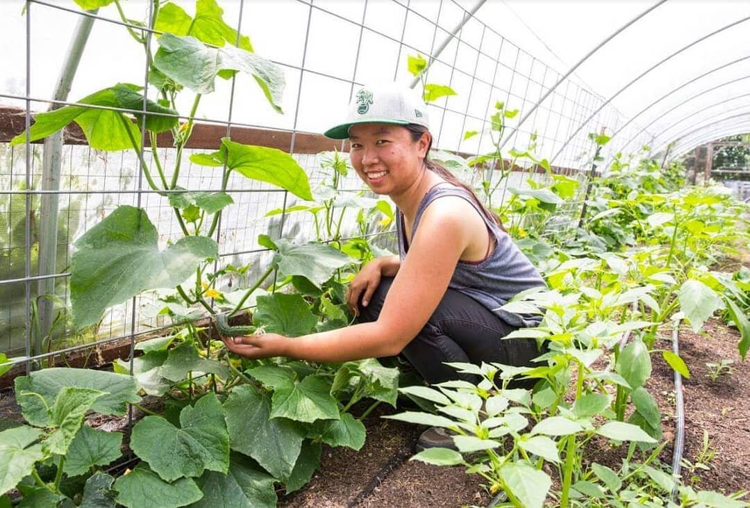 2018 MICAH Fellow @ewoo16 collaborated with APC on the farm last summer and has been returning ever since...