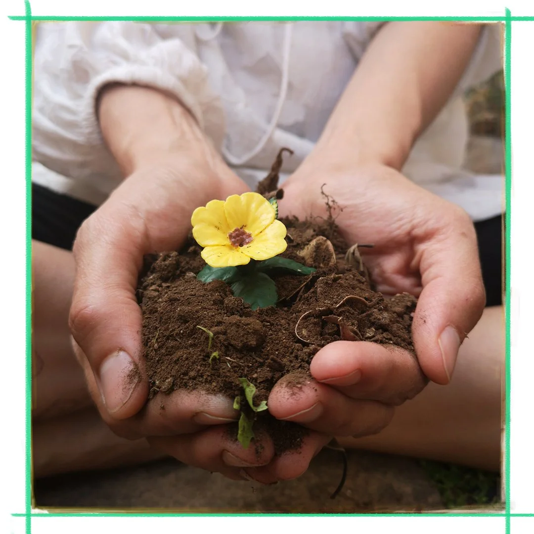 Qu'est ce que la Naturopathie?
