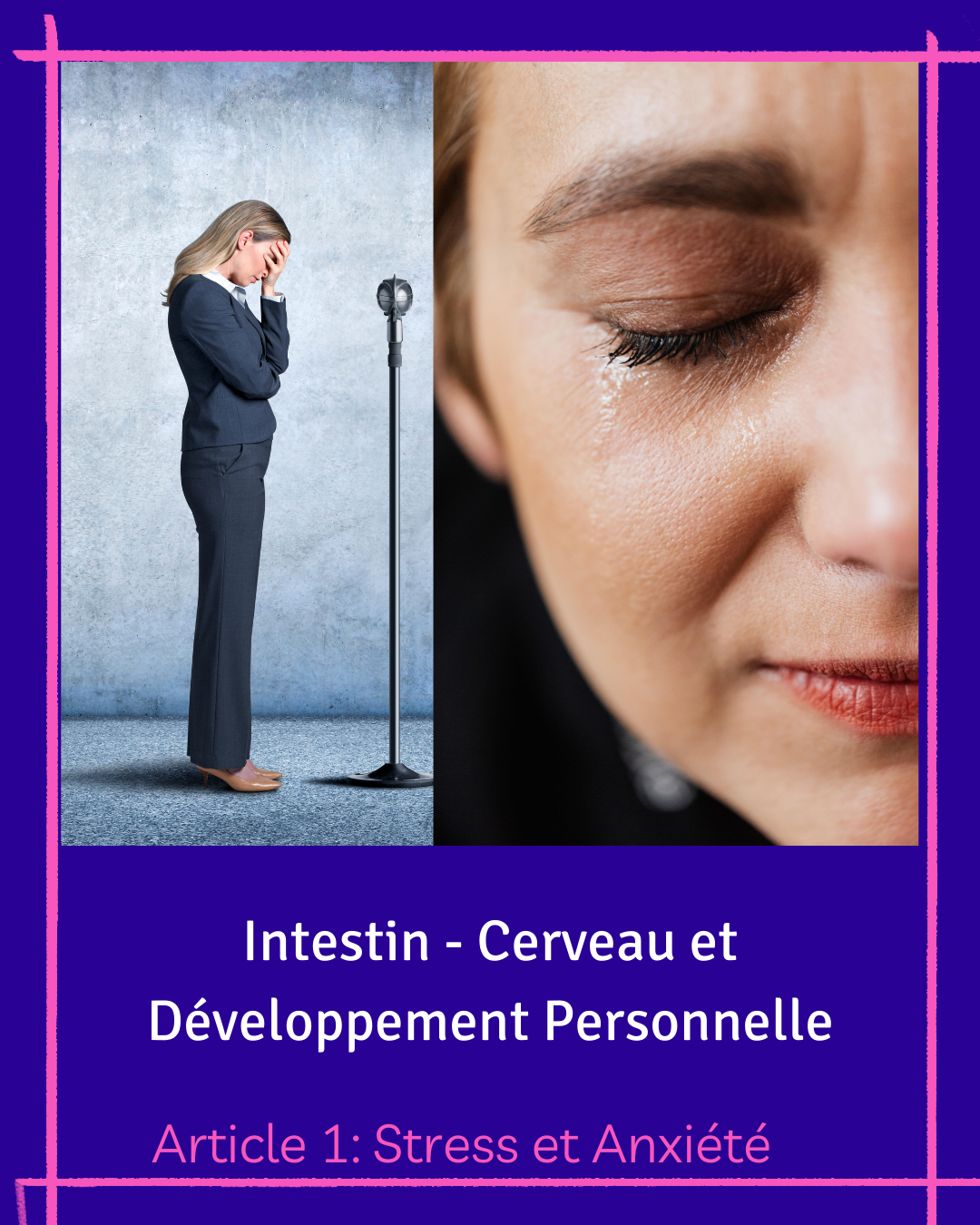 Intestin - Cerveau - Développement Personnel.  Article 1: Stress et Anxiété