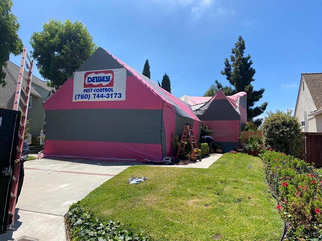 Another Job done ✅ Getting things done safely and on time 🙌 #fumigation #termites #pestcontrol #sandiego