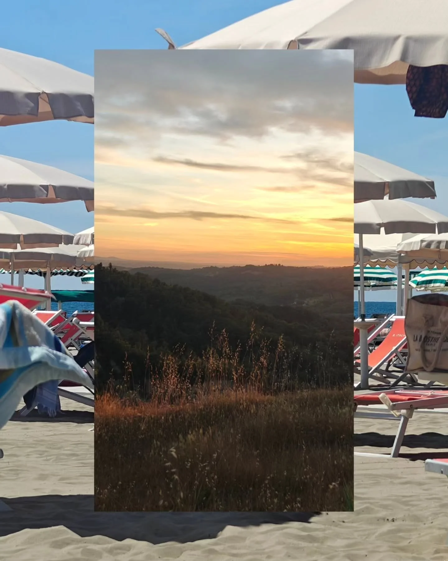 Following tradition somehow becomes modern rebellion.

In a world obsessed with speed, efficiency and optimisation, Toscana refuses urgency.

The farmer&rsquo;s market at its own rhythm,
olive oil producers scattered across the hills, not centralised