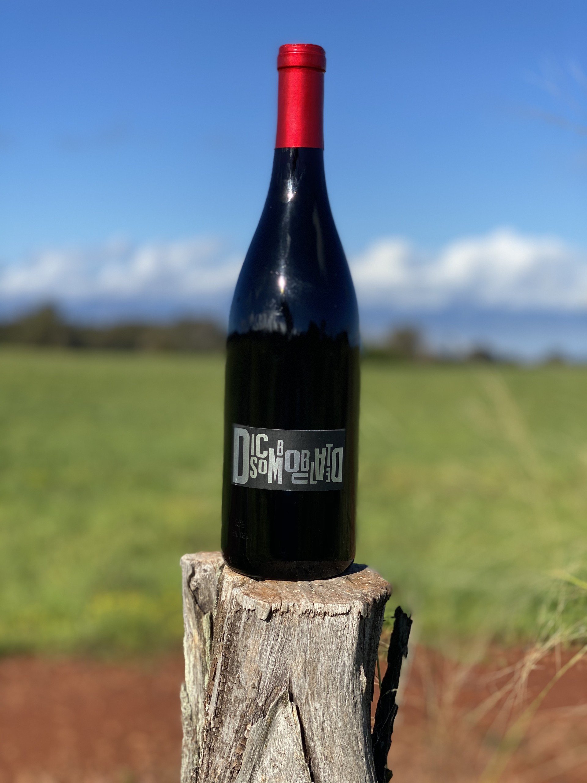 DB - wine bottles 009.jpeg