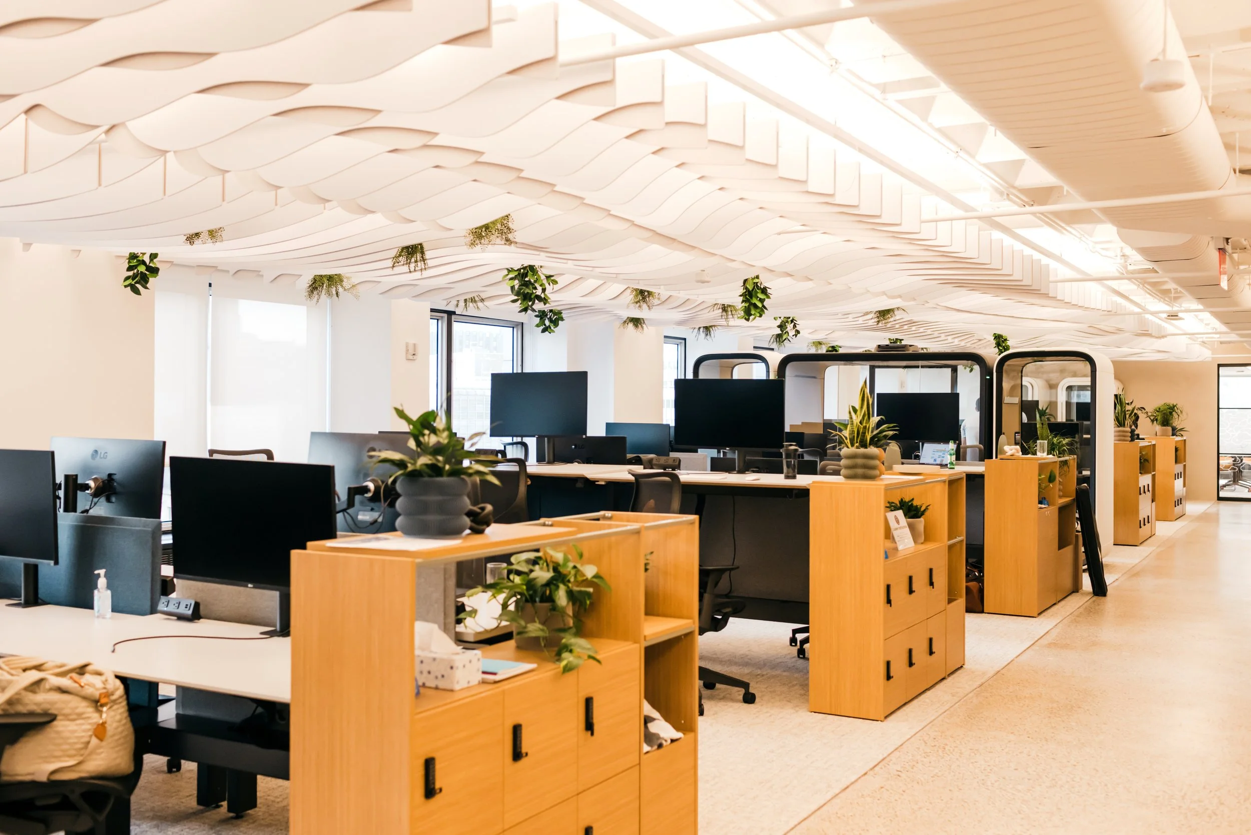 Elastic_Office-282 resize.jpg