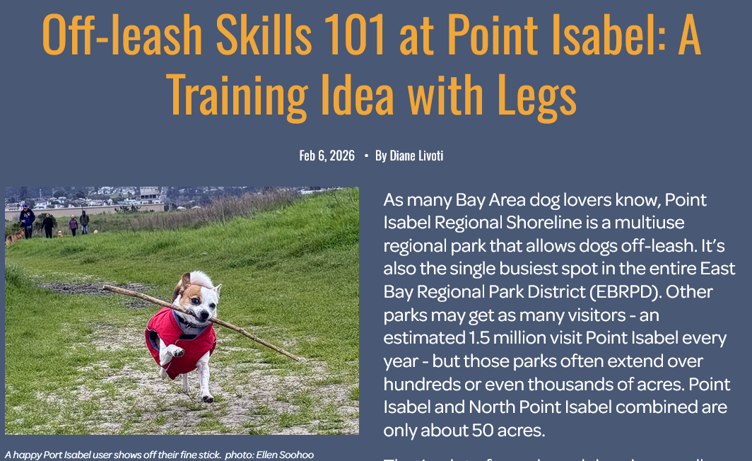 Bay Woof features PIDO’s off-leash skills courses