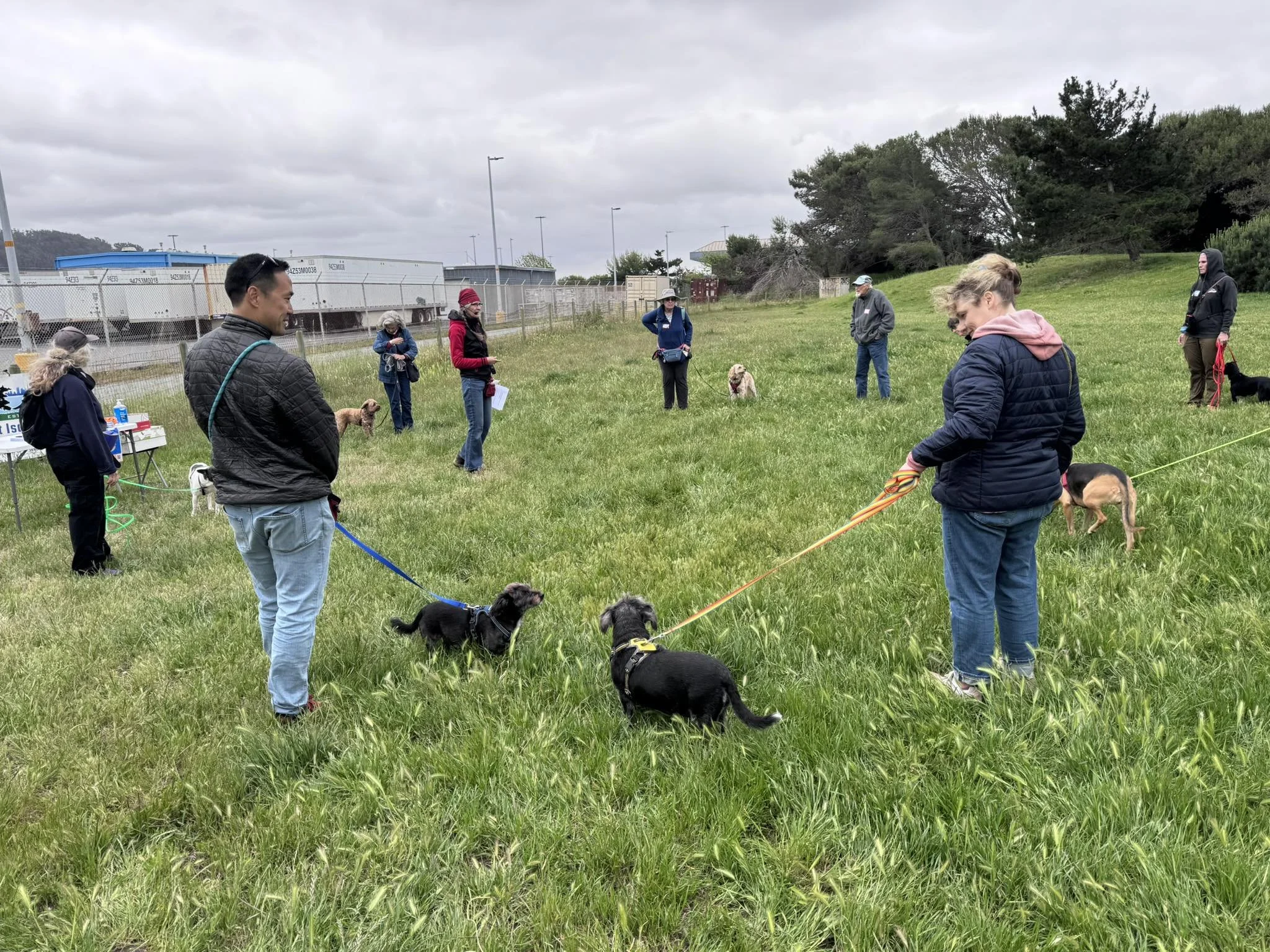 OFF-LEASH SKILLS 101