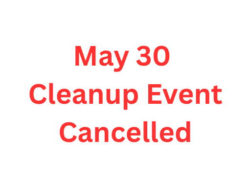 CLEANUP DAY