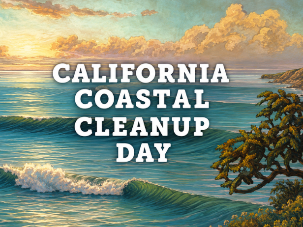 Coastal Cleanup