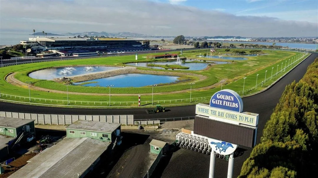 Odds favor visionary shoreline park plan