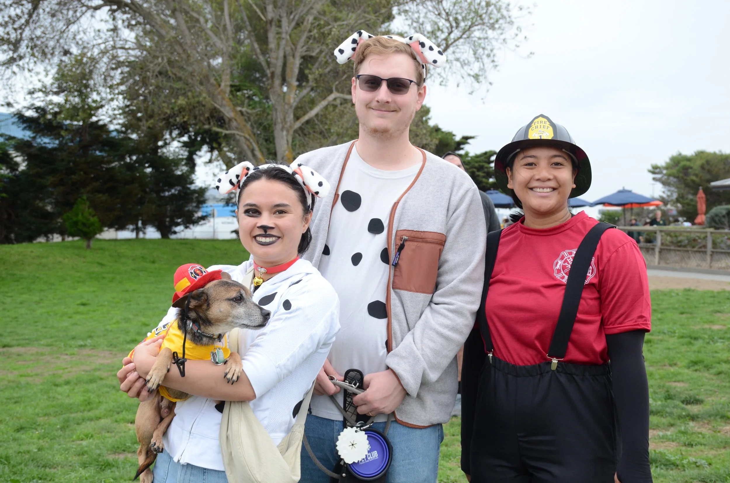 Dalmatians and FIrefighter.jpeg