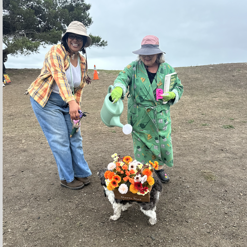 Screen Shot 2025-11-03 at 20.55.23.png