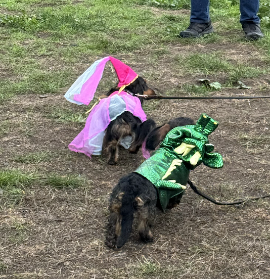 Screen Shot 2025-11-03 at 20.46.21.png