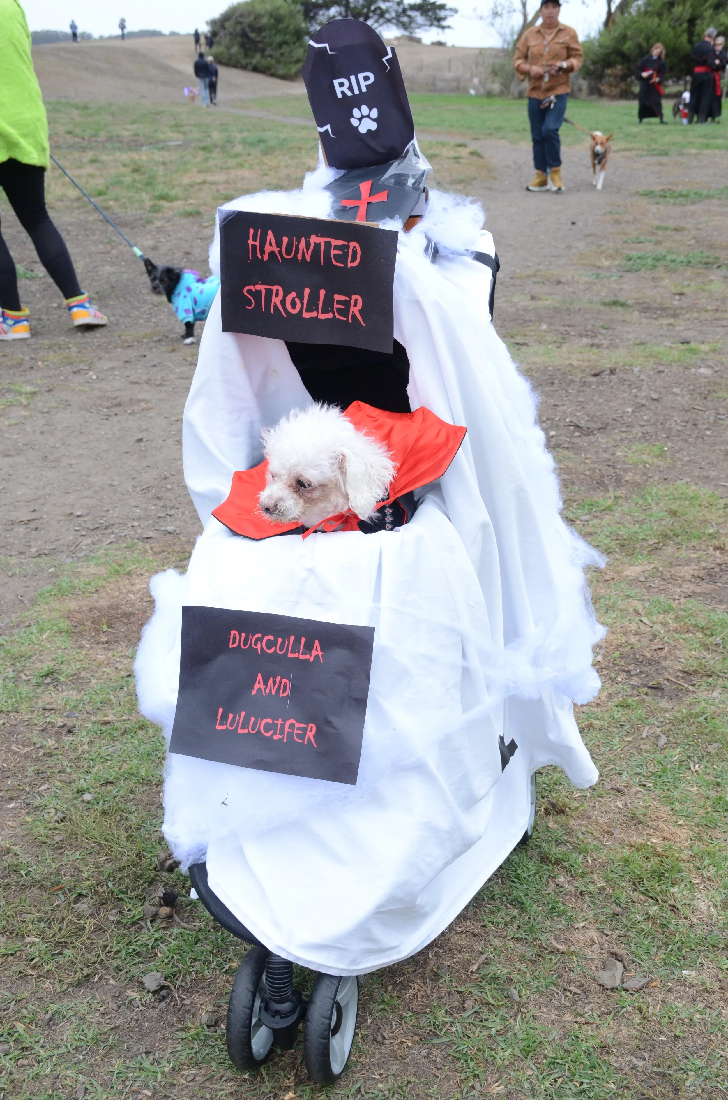 Haunted Stroller.jpeg